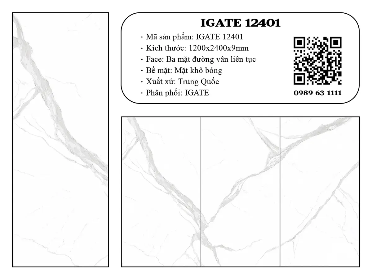 Igate-12401-dd