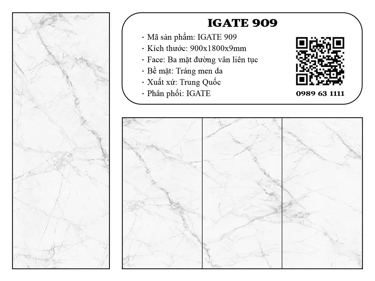 Igate-909-dd