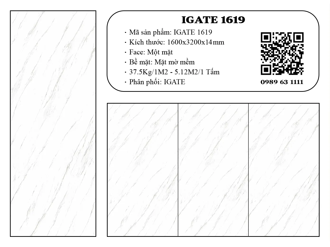 Igate-1619-dd