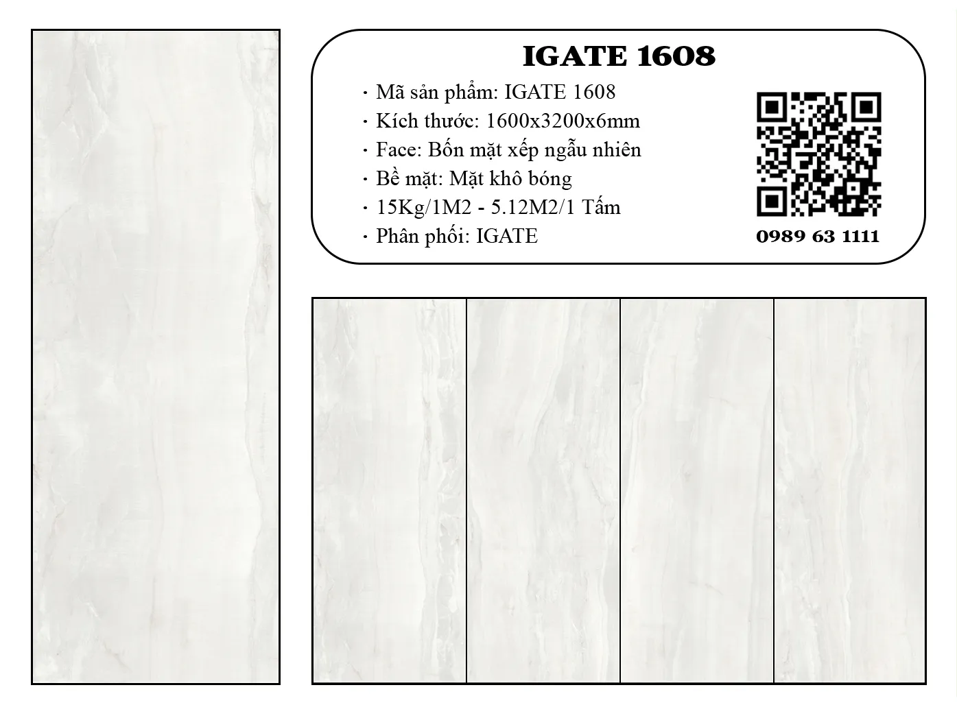 Igate-1608-dd