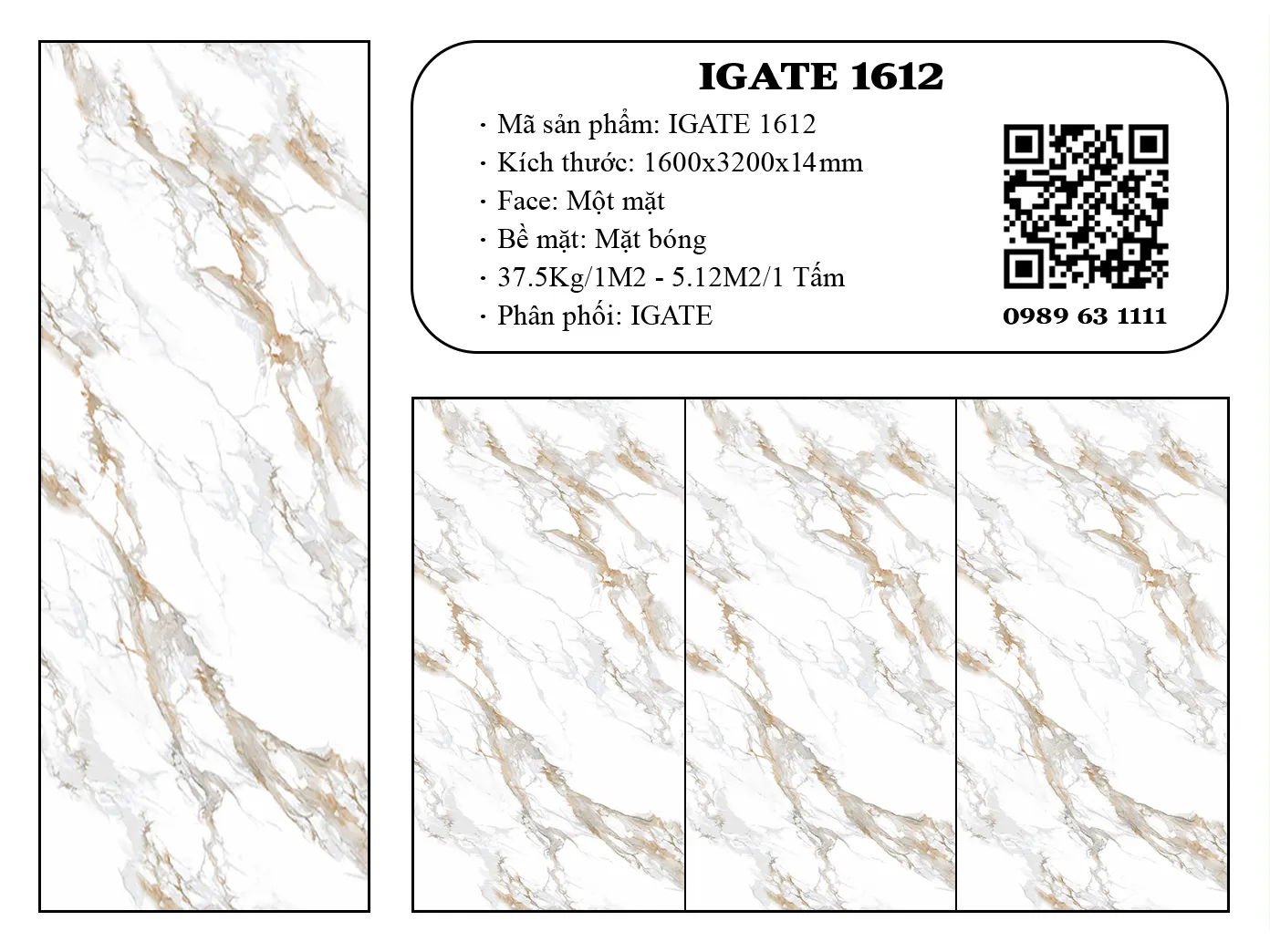 Igate-1612-dd